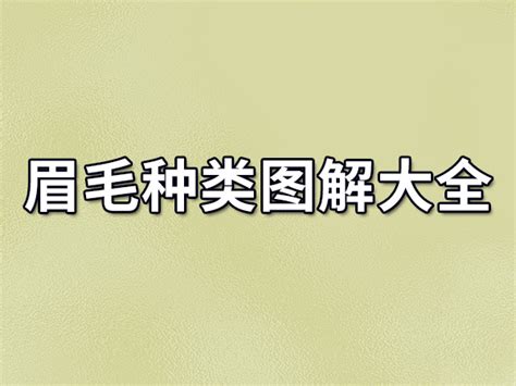 眉毛長面相|眉毛面相图解大全：28种眉毛类型图文详细分析！